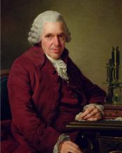 Portrait of Louis Daubenton